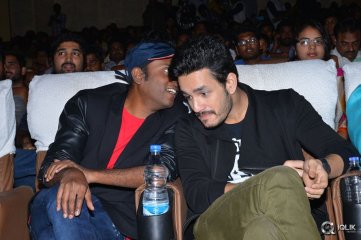 Akhil Movie Platinum Disc Function